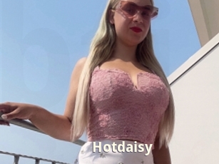 Hotdaisy