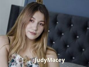 JudyMacey