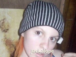 Jackalope
