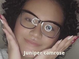 Juniper_camrose