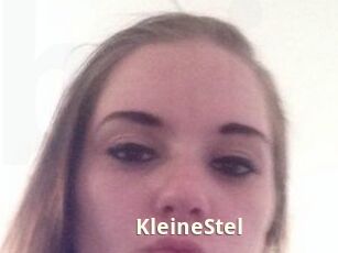 KleineStel
