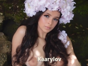 kaarylov Bigtitinvasion