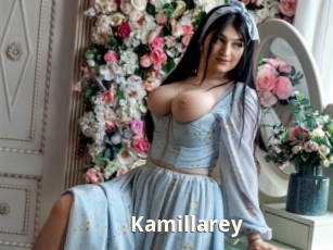 kamillarey Bigtitinvasion