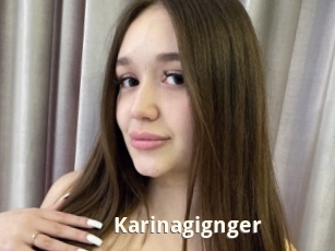 Karinagignger