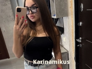 Karinamikus