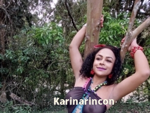 karinarincon Bigtitinvasion