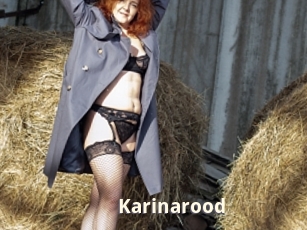 Karinarood