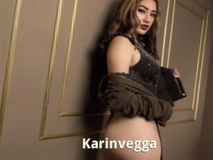 Karinvegga