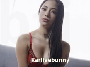 Karlieebunny