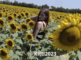 Kitti2023