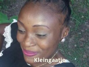 Kleingaatje