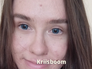 Kriisboom
