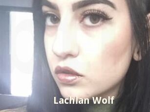 Lachlan_Wolf