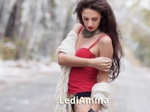 LediAmina