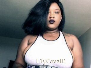 Lily_Cavalli