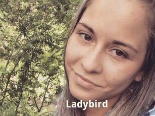 Ladybird