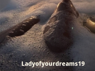 Ladyofyourdreams19