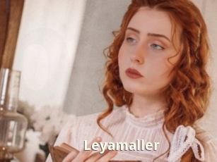 Leyamaller