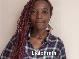 lialehmin Bigtitinvasion