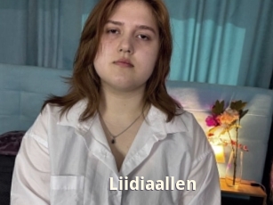Liidiaallen