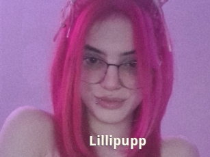 Lillipupp