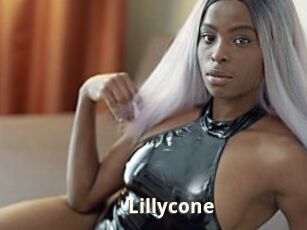 Lillycone