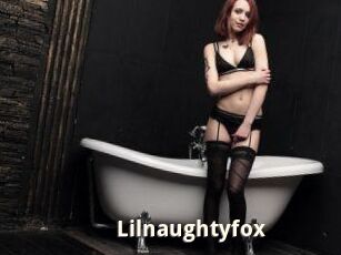 Lilnaughtyfox