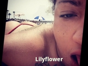 Lilyflower