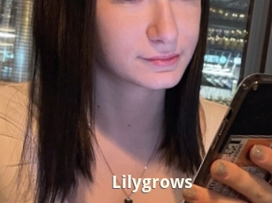 Lilygrows