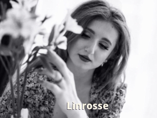 linrosse Bigtitinvasion