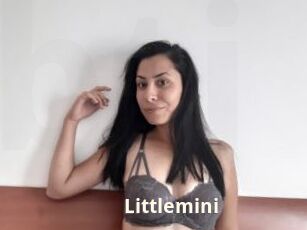 Littlemini
