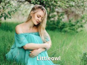 Littleowl