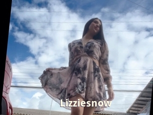 Lizziesnow