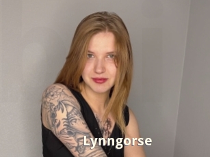 Lynngorse