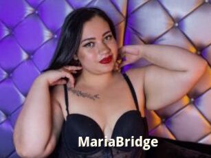 MariaBridge