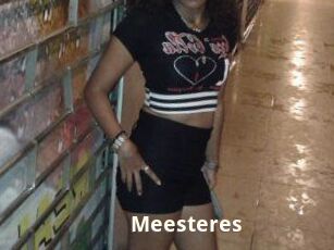Meesteres