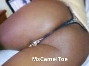 MsCamelToe