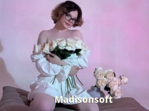 Madisonsoft