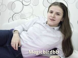 Magicbirdbb
