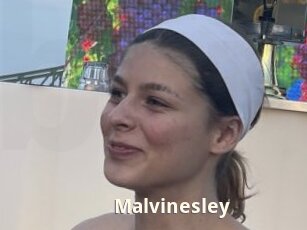 Malvinesley