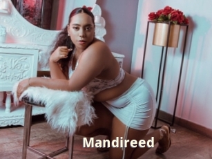 Mandireed