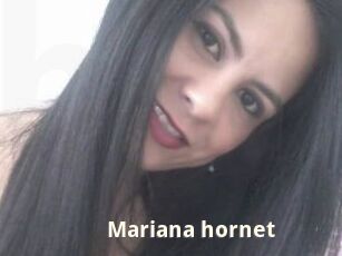 Mariana_hornet