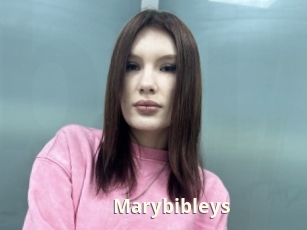 Marybibleys