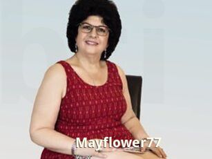 Mayflower77