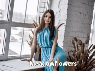Meadowflowers