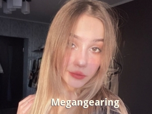 Megangearing