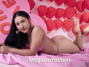 Megannfosterr