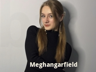 Meghangarfield