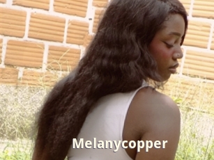 melanycopper Bigtitinvasion