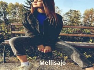 Mellisajo